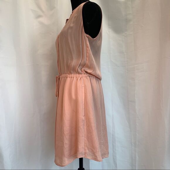 𝅺ARITZIA Babaton Benedict silk dress blush pink Sz M🔥 - Picture 6 of 15
